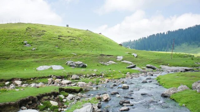Waterflow at Aru Valley, Pahalgam, Kashmir, India. Horses walking on the beautiful valley of Kashmir. Destination, Tour, Trip and tourism concept.