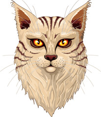 Cat Main Coon Striped Ginger Feline Portrait isoliertes Element auf transparentem Hintergrund