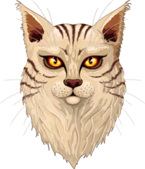 Zelfklevend Fotobehang Draw Kat Main Coon gestreept Ginger Feline Portrait geïsoleerd element op transparante achtergrond