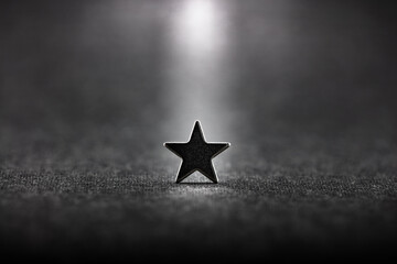 A single lone star receiving light from above. One standing star.  Shallow depth of field.