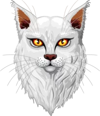 Papier Peint photo Lavable Dessiner Cat Main Coon blanc Feline Portrait élément isolé sur fond transparent