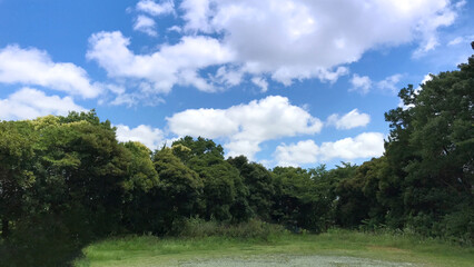 Fototapeta na wymiar 公園の青空に白い雲
