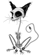 Zelfklevend Fotobehang Draw Cat Skeleton Halloween Griezelig Karakter geïsoleerd element op transparante achtergrond