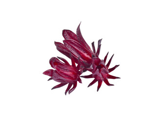 Roselle Hibiscus sabdariffa red fruit flower on white background.