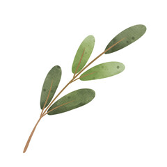 Branch of leaves