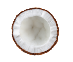 Half coconut isolated on transparent png