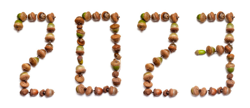2023. Numbers composed of oak acorns