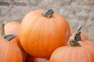 A large pumpkin lies in the straw
