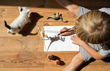 boy draws with a pencil contrasting shadows from the skeleton of a toy dinosaur on white paper....