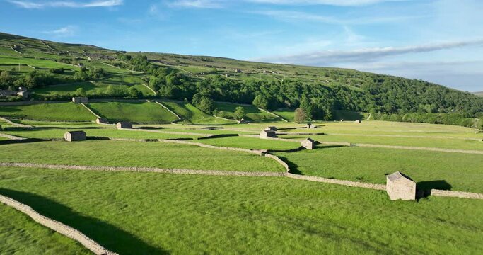 Aerial shot of pastures in the green valley