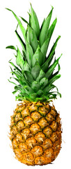 Fresh pineapple fruit isolated - obrazy, fototapety, plakaty