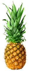 Fotobehang Fresh pineapple fruit isolated © Anterovium