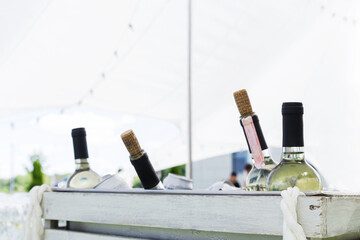 Bottles of white wine chilled in an ice box