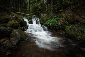 Fototapeta premium Ruisseau