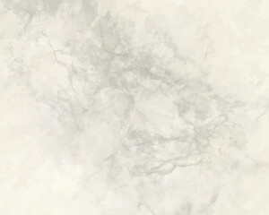 Fototapeta premium 滑らかで高級感のある美しい模様の大理石ーシンプルホワイトとグレーーイラスト背景素材