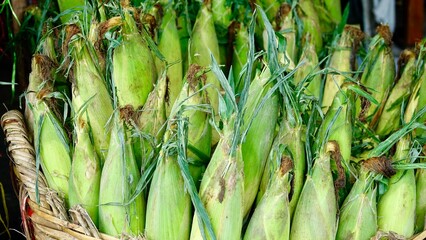 Exotische Früchte und Gemüse von einem asiatischen Markt