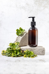  pump bottle on a podium made of stones and green succulent leaves on a gray background. The concept of natural cosmetics