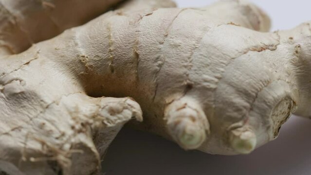ginger root rotates in a circle. A spice made from an essential oil-rich rhizome