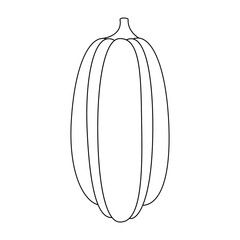 Pumpkin with a black outline. Vector illustration of a hand-drawn pumpkin on a white background. An element for autumn decorative design, an invitation for Halloween.Pumpkin Icon White Background 