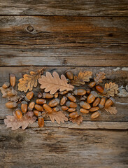 autumn background. dry oak leaves and acorns on rustic old wooden table. fall season, harvest,...