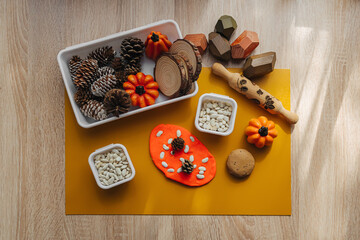 A little girl playing with autumn natural materials and play dough. Educational game for toddlers. ...