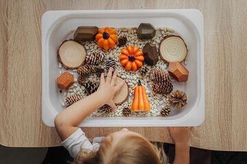 Fall Sensory Bin. Toddler playing with pumpkins, cones and dried beans in sensory box. Educational...