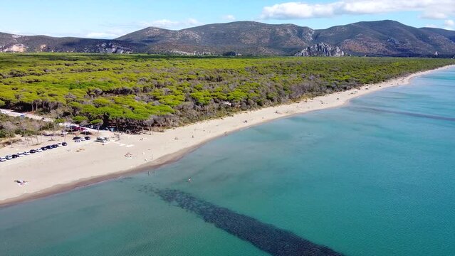 Aerial video of the coastline of Alberese showing the sea the beach and the maritime pines. Alberese, Maremma National Park in Tuscany (Grosseto).