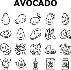 avocado food green half icons set vector. vegetable slice fresh, healthy organic seed, tropical cut ripe, nutrition plant avocado food green half black contour illustrations