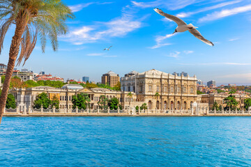 A Seagull flies by the Dolmabahce Palace, Bosphorus, Istanbul, Turkey