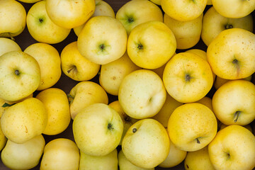 yellow apples in a box, ripe apples as a background, a lot of apples after harvest, autumn background, background image