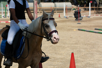 Obraz premium Close up on Start Signage on Blurred girl that rides a Pony during Pony Game Competition
