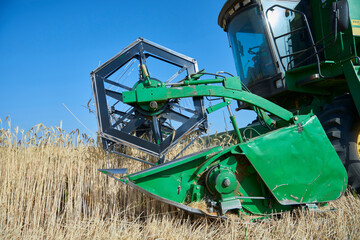 Harvesting Rye - 527840215
