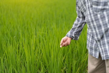 farmer working in the farm
