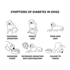 Outline illustration of beagle dog and symptoms of diabetes on white background - obrazy, fototapety, plakaty