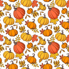 Pumpkin and autumn leaves seamless pattern. Vector illustration. Hand drawn background.