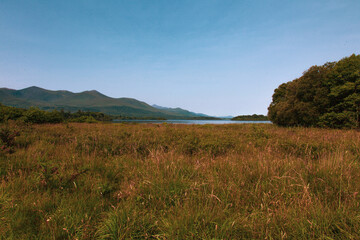 Fototapeta premium landscape with mountains