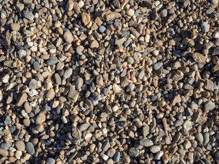 Background stone texture. Lots of small multicolored pebbles (pebbles), natural textured background