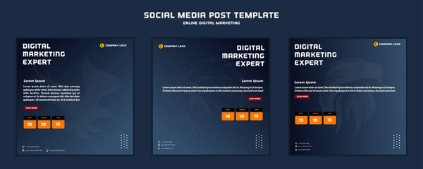 Social media post template modern design with eagle bird, for digital marketing online or poster marketing template