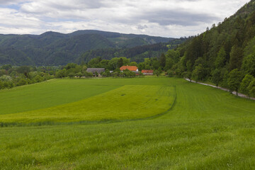 Obraz premium View to Alpine country house surrounded by forest with red roof across huge green field, pastoral Alps countryside landscape on cloudy summer day