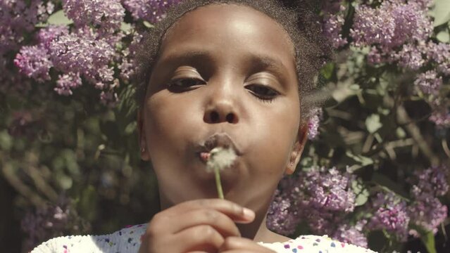 Slowmo closeup of pretty little African American girl blowing dandelion at camera outdoors in park