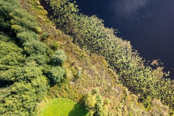 Drone photography of a small pond with green meadow and forest on the shore