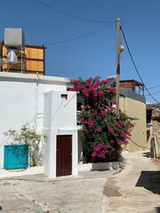 Fototapeta na wymiar Traditional Cycladic alley with a narrow street, whitewashed houses and a blooming azalea in Agios Nikolaos, Crete island, Greece.