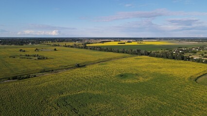 Fototapeta na wymiar Aerial top view photo from flying drone of a land with down fields in countryside.