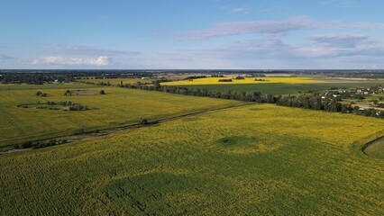 Aerial top view photo from flying drone of a land with down fields in countryside.