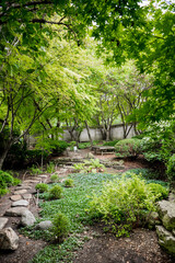 Obraz premium Tree-filled Japanese garden