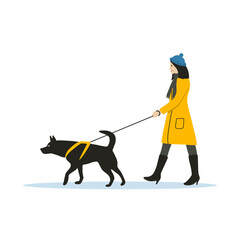 A woman in warm clothes walks a dog. Black dog in a harness on a leash. Pet care. Vector illustration in flat cartoon style on a white background