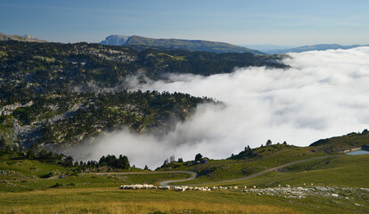Fog over mountains in French pyrenees