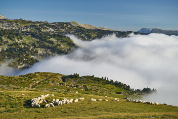 Fog over mountains in French pyrenees