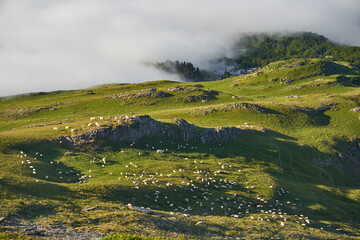 Fog over mountains in French pyrenees