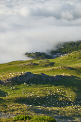 Fog over mountains in French pyrenees